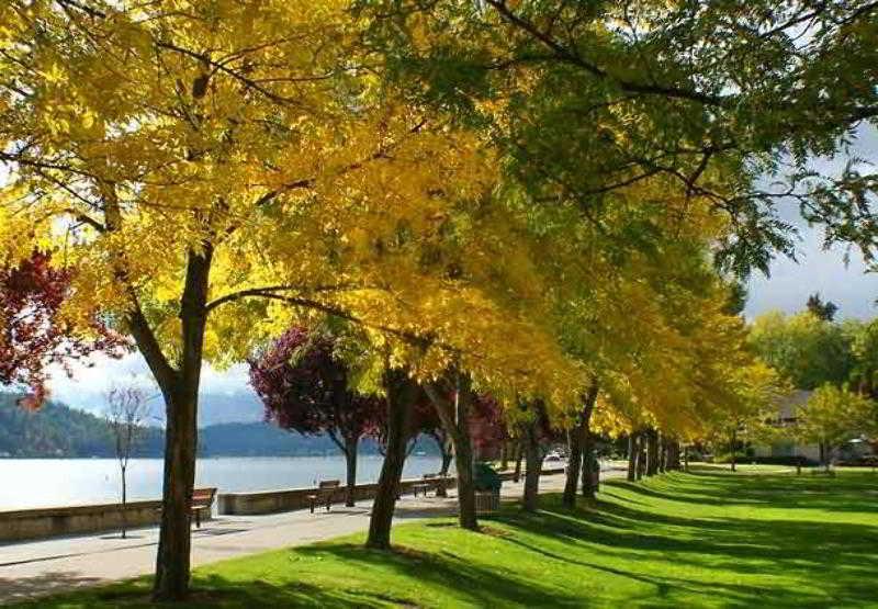 Springhill Suites Coeur D'Alene Luaran gambar